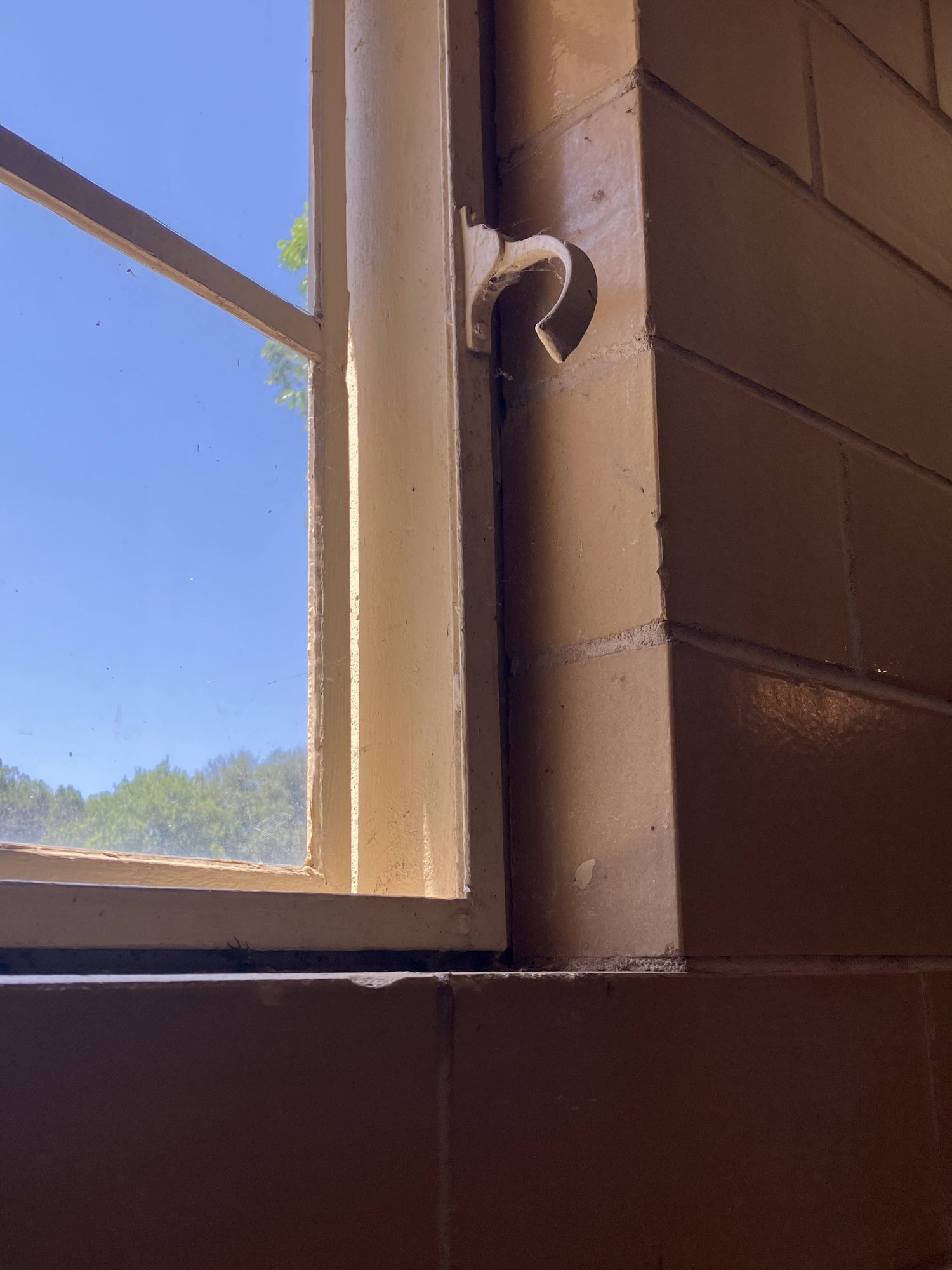 Restored steel window at the Barton Springs Bathhouse in Austin